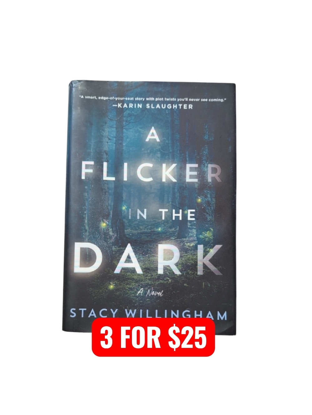 A Flicker in the Dark by Stacy Willingham Hardback